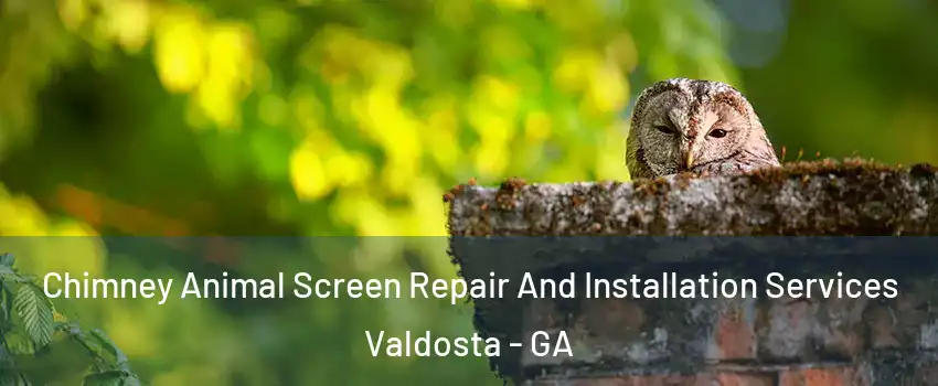  Chimney Animal Screen Repair And Installation Services Valdosta - GA