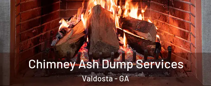  Chimney Ash Dump Services Valdosta - GA