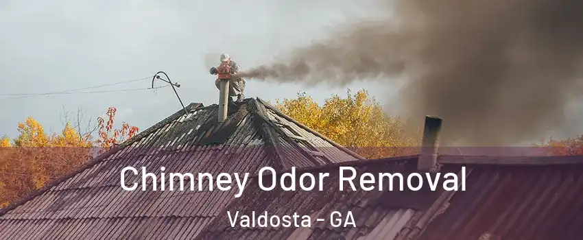  Chimney Odor Removal Valdosta - GA