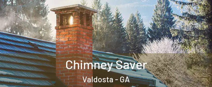  Chimney Saver Valdosta - GA