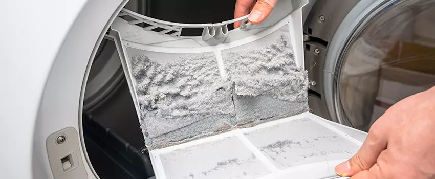 Best Dryer Lint Removal Company in Valdosta, Georgia