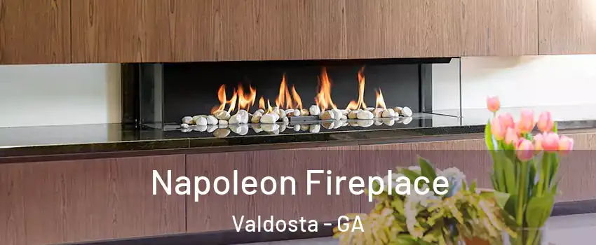  Napoleon Fireplace Valdosta - GA